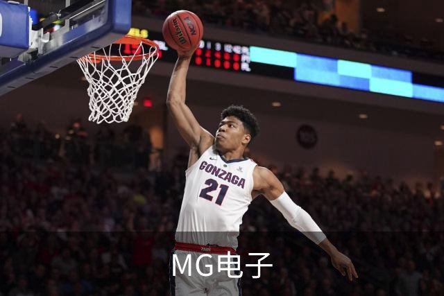 MG电子公司介绍图片